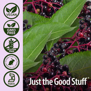 Nature's Answer Sambucus Immune Support Elderberry Liquid - 120ml