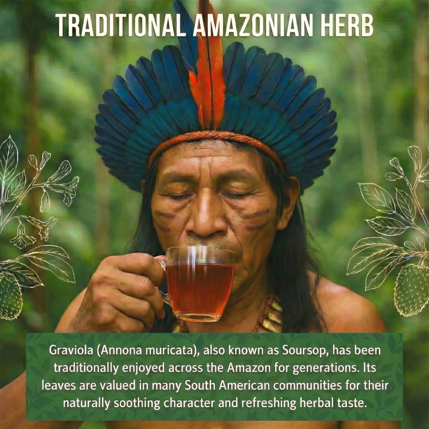 Rio Amazon Graviola Leaf Tea Infusion prepared herbal beverage 90 teabags