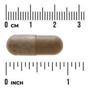 Swanson Full Spectrum Gotu Kola 435mg 60 Capsules bottle 60 capsule size