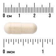 Swanson Full Spectrum Onion Bulb herbal supplement capsule bottle 60 capsule size