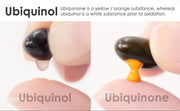 Pharma Nord Bio-Ubiquinol Active 100mg, food supplement softgel capsule box packaging, no flavour, capsules, daily supplement use