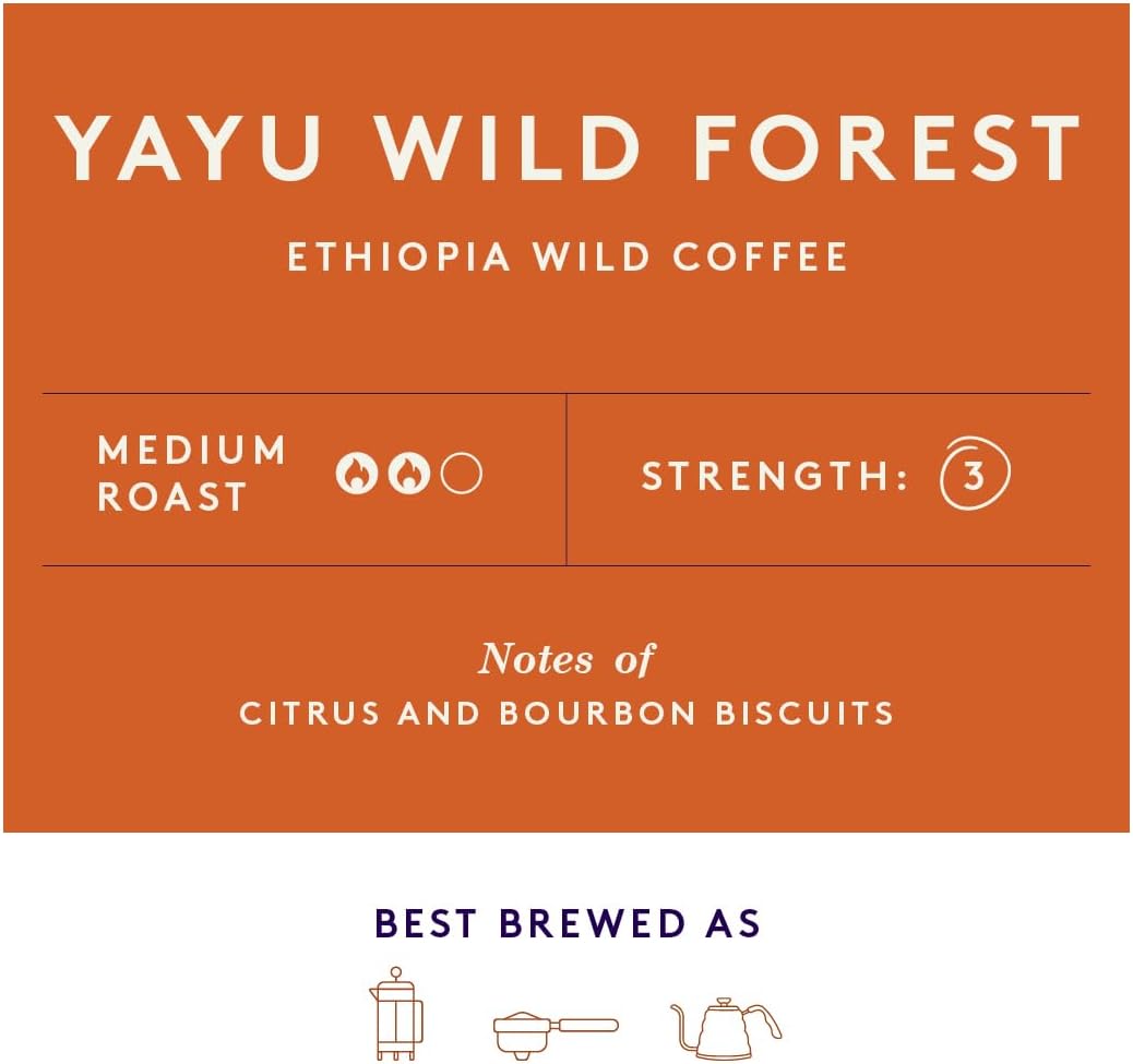 Union Yayu Wild Forest Ethiopian Whole Bean Coffee - 200g