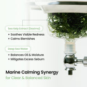 Biodance Refreshing Sea Kelp Hydrogel Face Mask 4 Sheets ingredients panel and skincare information