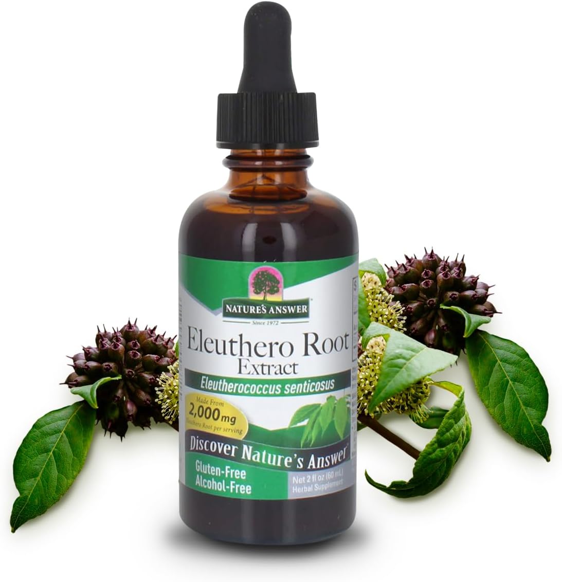 Nature’s Answer Eleuthero root alcohol-free liquid extract 60ml bottle front label