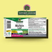 Nature’s Answer Mullein Leaf Liquid Extract 30ml barcode imageon a yellow background