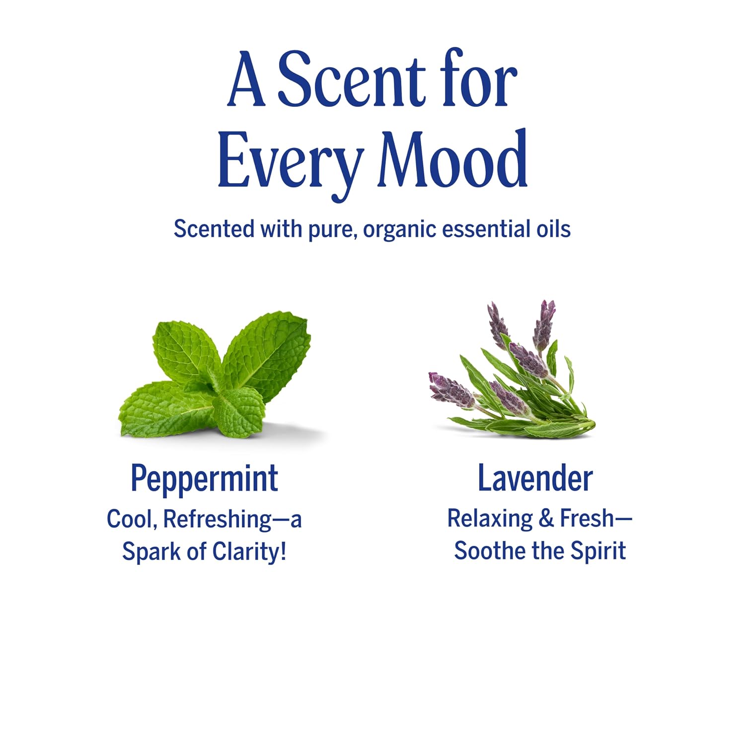 Dr. Bronner's Organic Lavender Hand Cleansing Spray 60ml scent for every mood