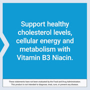 Life Extension Vitamin B3 Niacin 500mg supplement