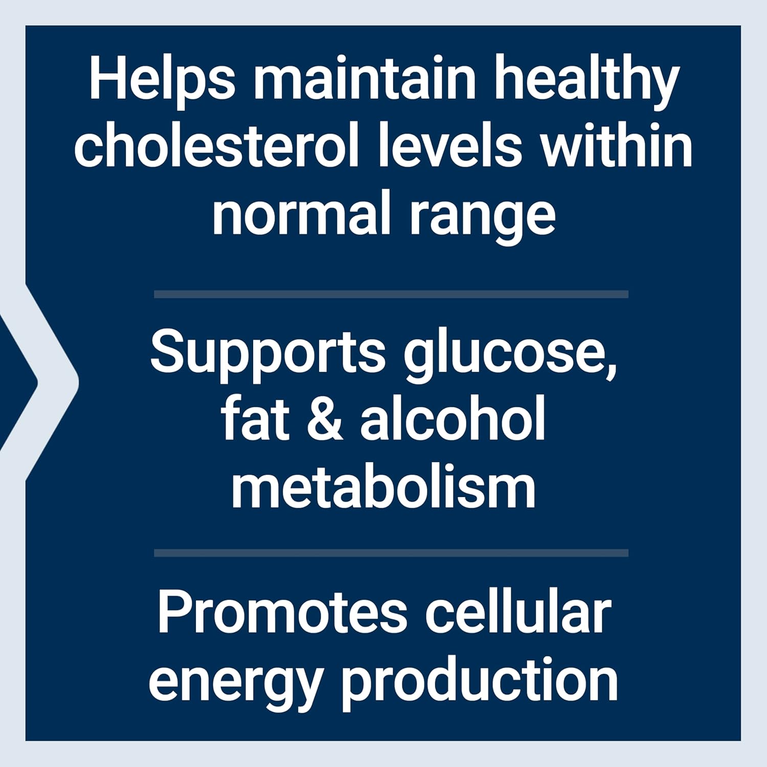 Life Extension Vitamin B3 Niacin 500mg supplement