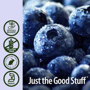 Nature's Answer Blueberry Fruit Extract Alcohol-Free - 60ml