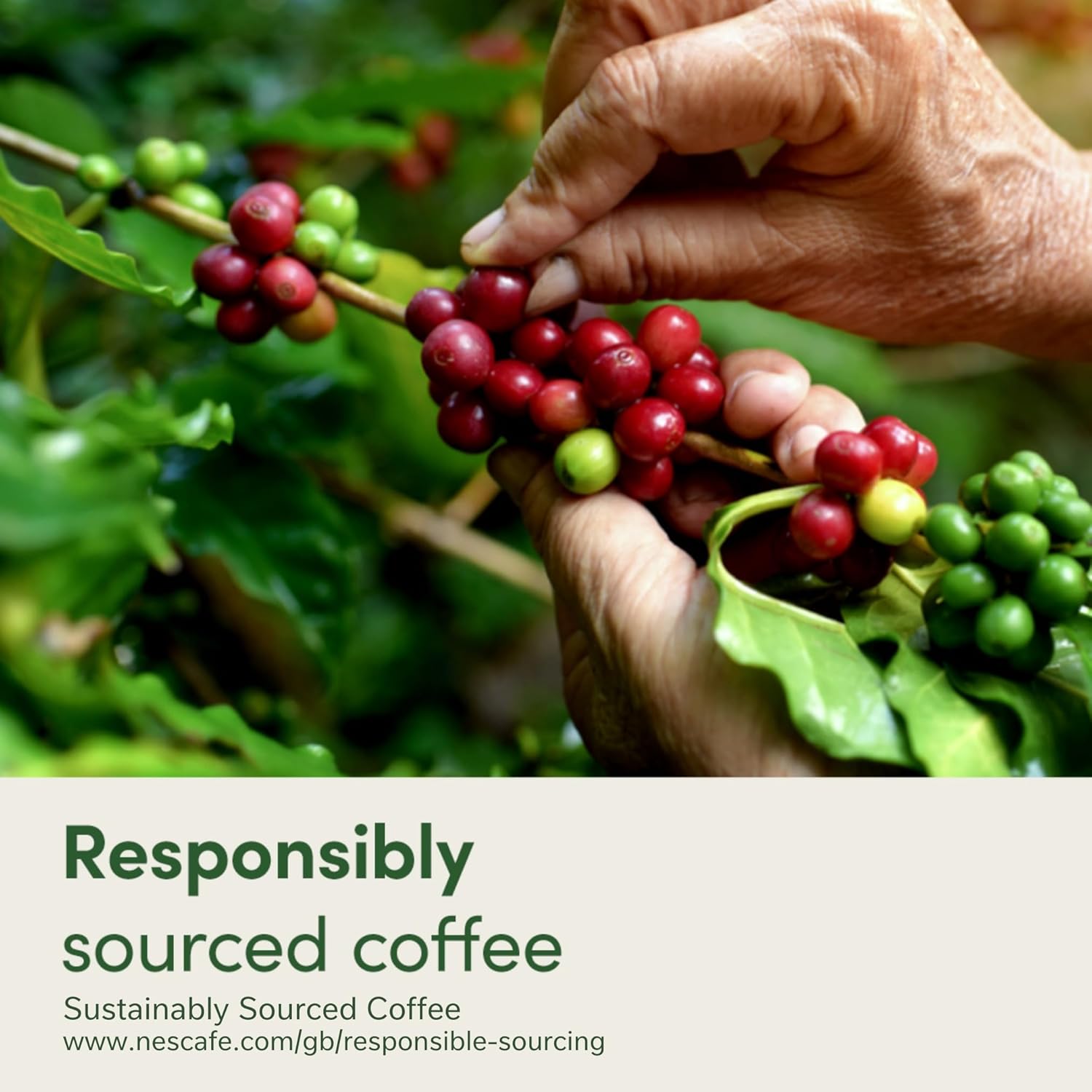 Nescafé Dolce Gusto Americano coffee capsules