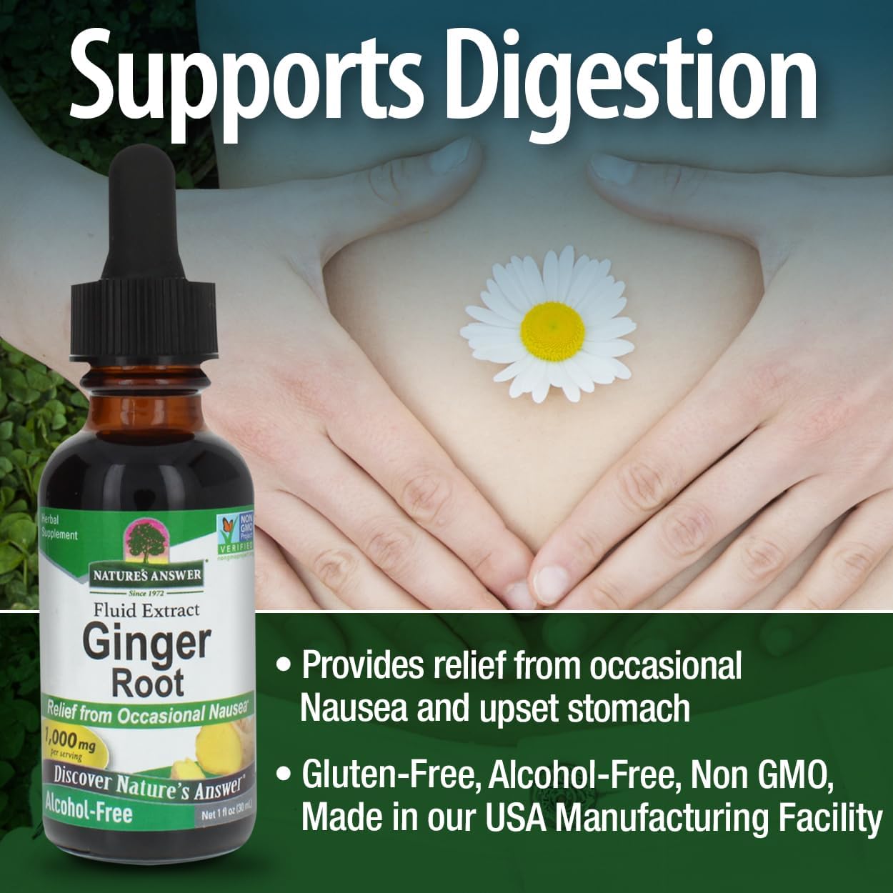 Nature's Answer Ginger Root Liquid Extract Alcohol-Free - 30ml