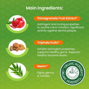 Himalaya Botanique Complete Care Mint Toothpaste 75ml packaging showing ingredients and product information