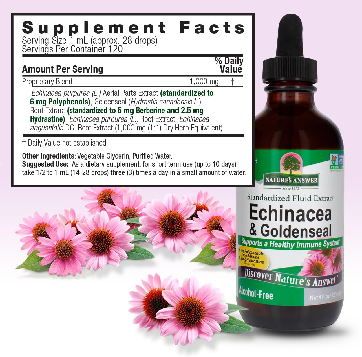 Nature’s Answer Echinacea Goldenseal supplement facts alcohol free 120ml back label on a light purple background