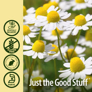 Nature’s Answer Chamomile Alcohol-Free Liquid Extract - 30ml