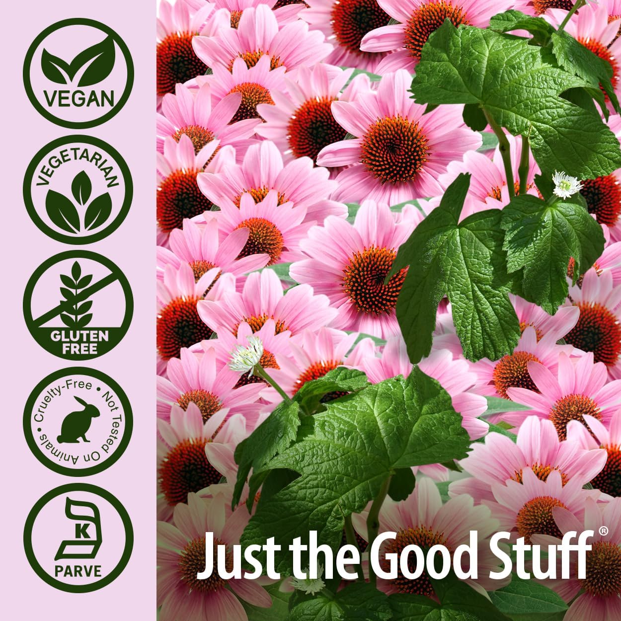 Nature’s Answer Echinacea & Goldenseal Vegetarian Capsules – 60 Count