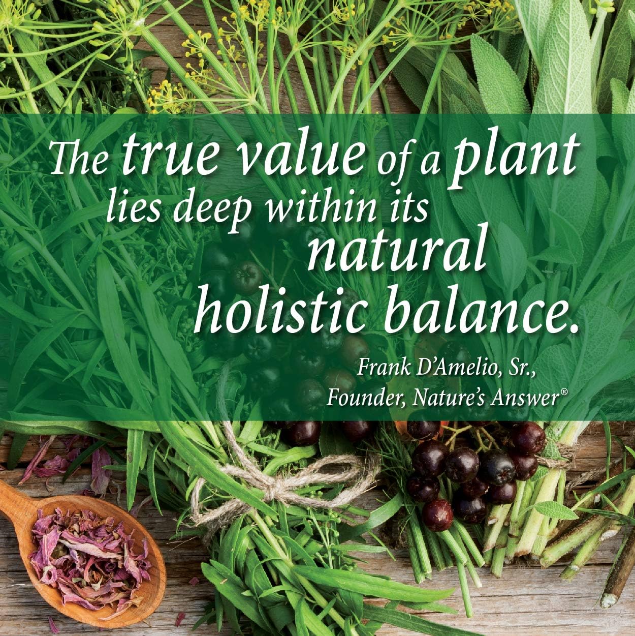 Nature’s Answer Schisandra Berry Alcohol-Free Liquid Extract - 30ml