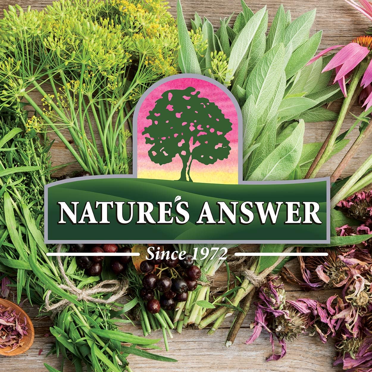 Nature's Answer Turmeric-3 Curcuminoids Vegan Capsules