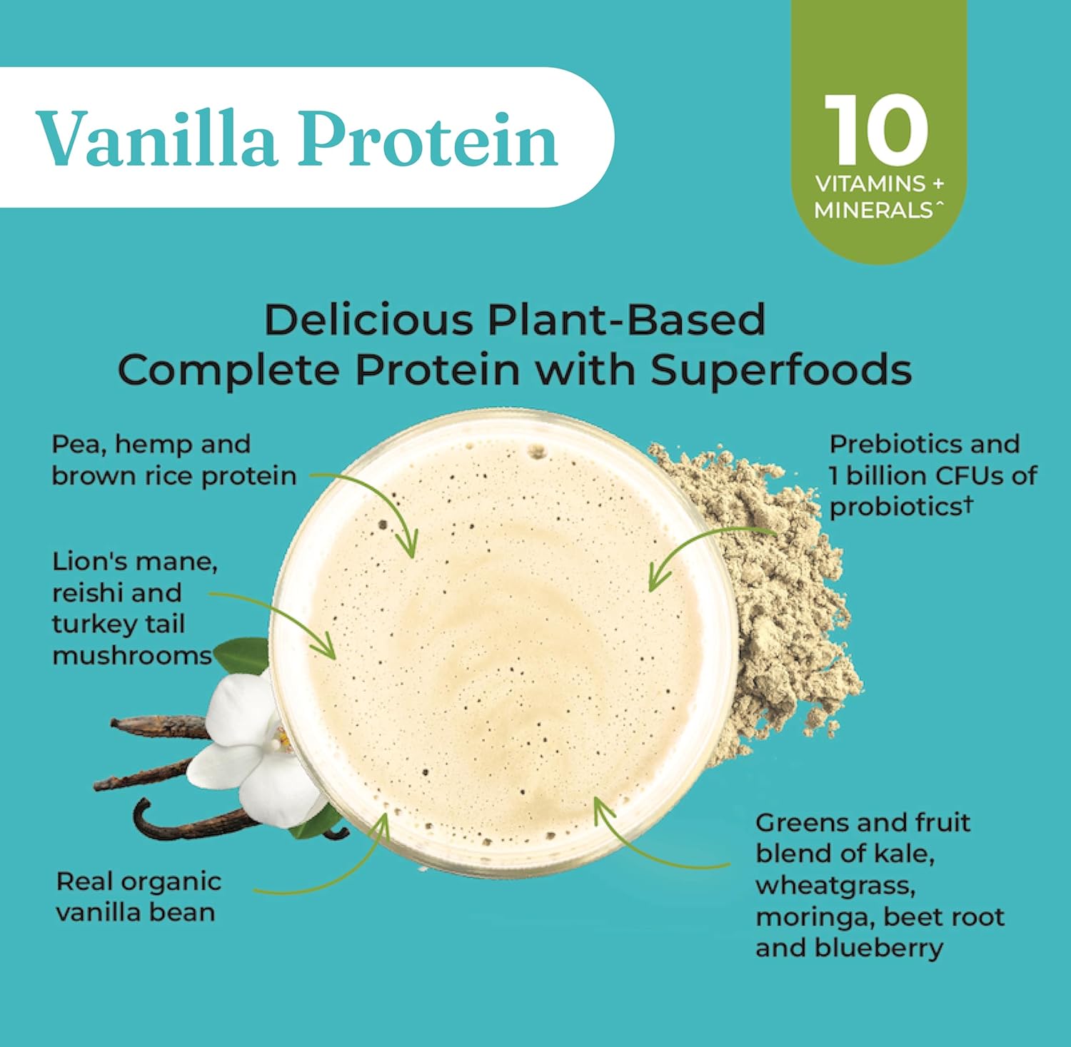 Ingredients for Four Sigmatic Vanilla Protein.