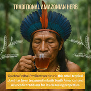 Rio Amazon Quebra Pedra Tea Infusion prepared herbal beverage 90 teabags