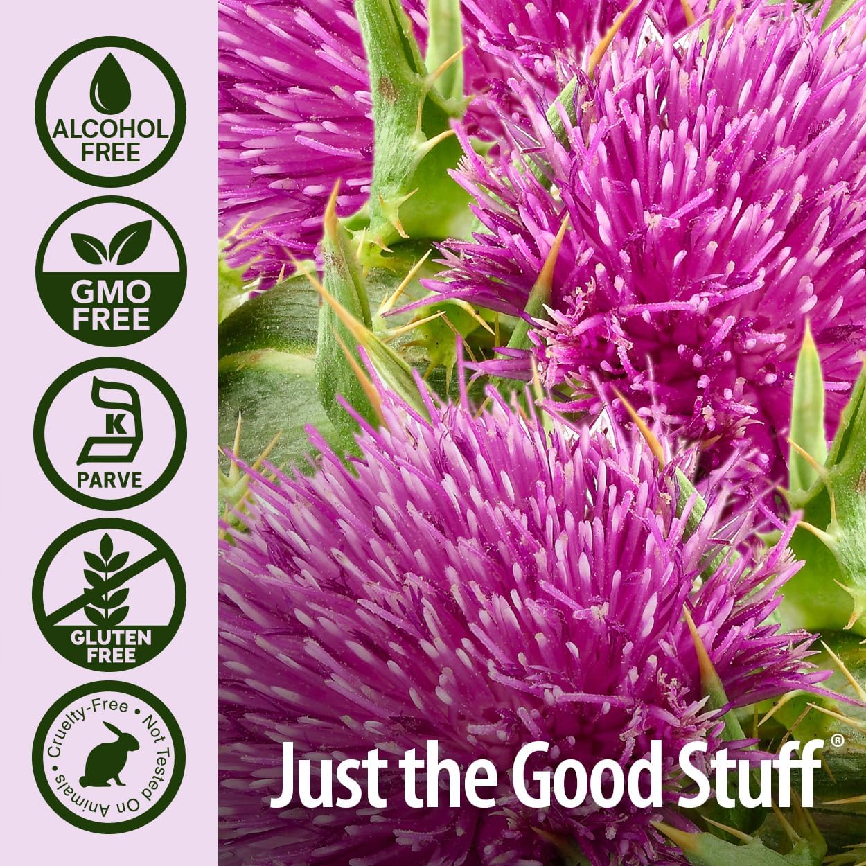 Nature’s Answer Milk Thistle Seed Alcohol-Free Liquid Extract – 30ml