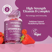 Novomins Vitamin B12 Gummies 1000mcg Strawberry 60 Count natural strawberry flavour 2 per day gummies