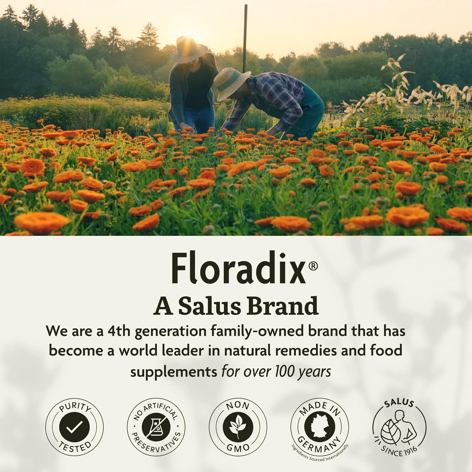 Floradix Liquid Iron & Vitamin Formula. A Salus Brand
