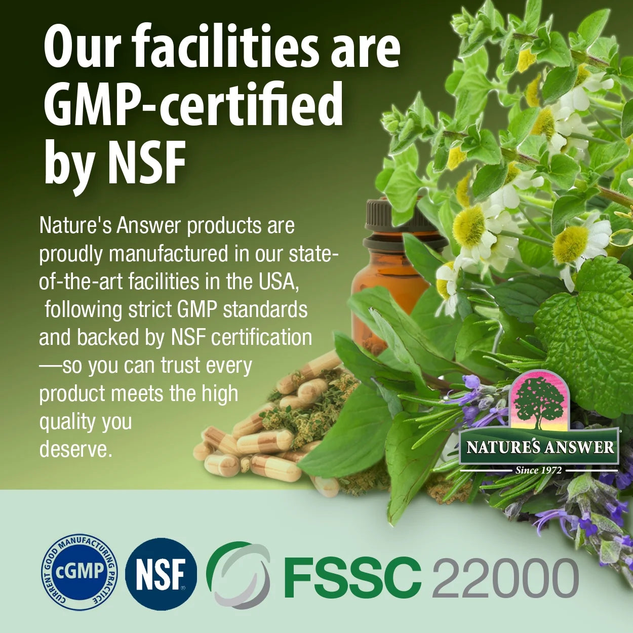 Nature's Answer Ginger Root Liquid Extract Alcohol-Free