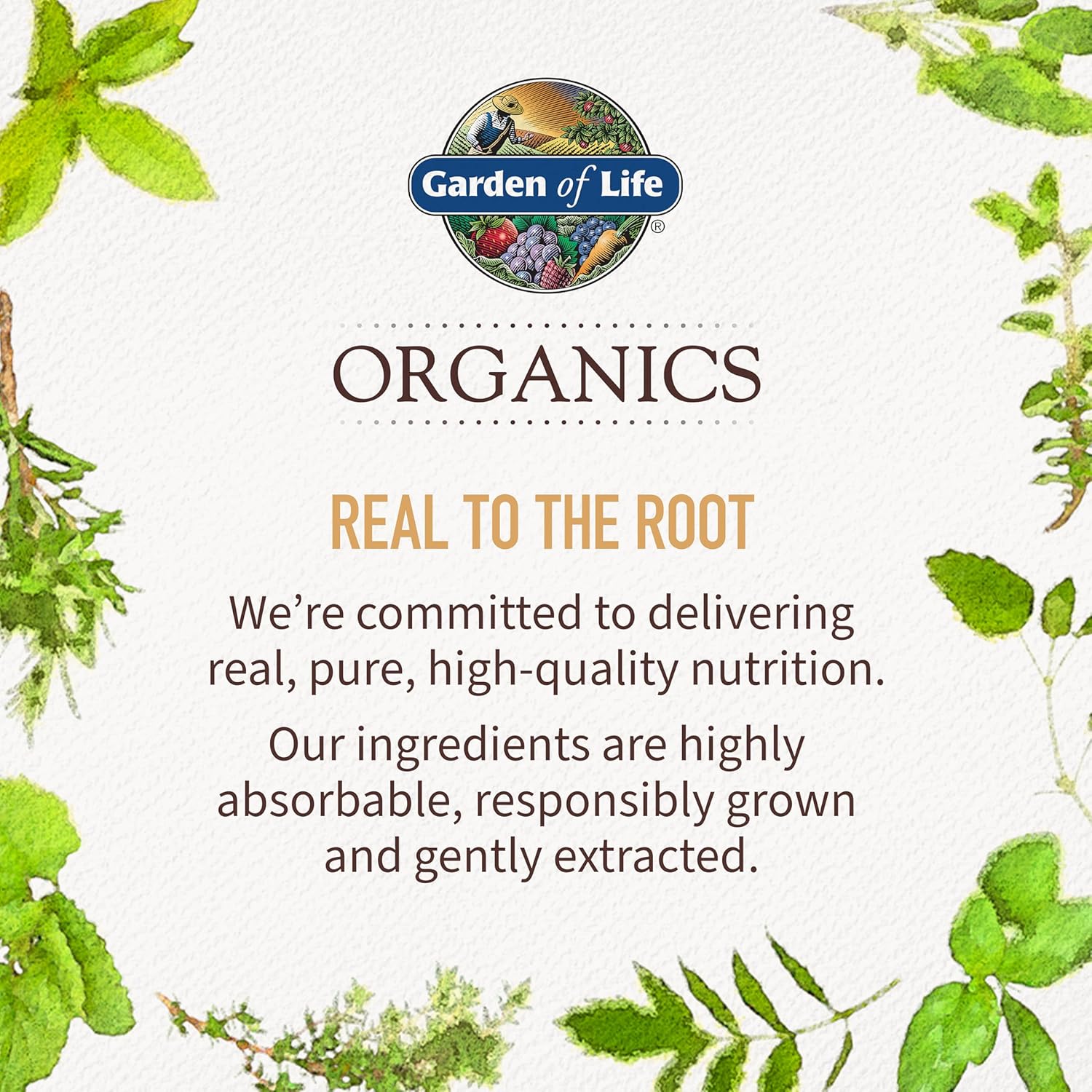 Garden of Life Organics Prenatal Gummies Multivitamin - Vegan Berry