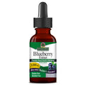 Nature's Answer Blueberry Fruit Extract Alcohol-Free - 60ml
