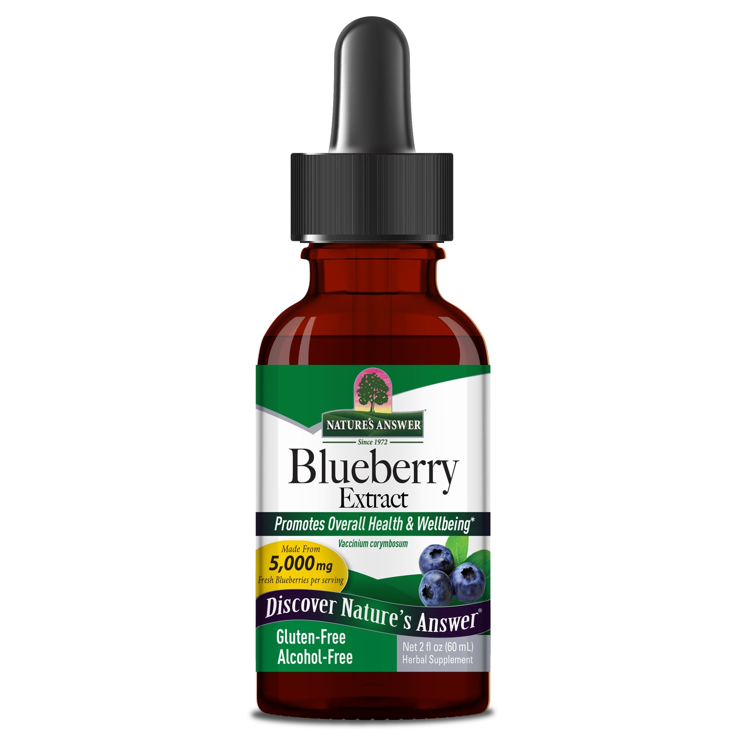 Nature's Answer Blueberry Fruit Extract Alcohol-Free 60ml liquid supplement front label