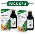 Floradix IntestCare Vloeibare Kruiden- & Mineralen Formule - 250ml