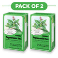 Floradix Biologische Pepermunt Kruidenthee - 15 Theezakjes, 2g Per Stuk