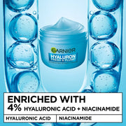 Garnier Sorbet Cream Bundle ingredient information Hyaluron 50ml