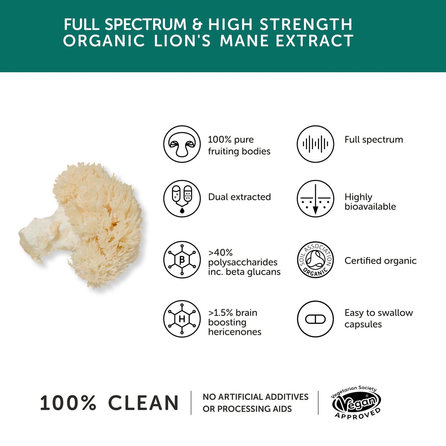 together health LION'S MANE