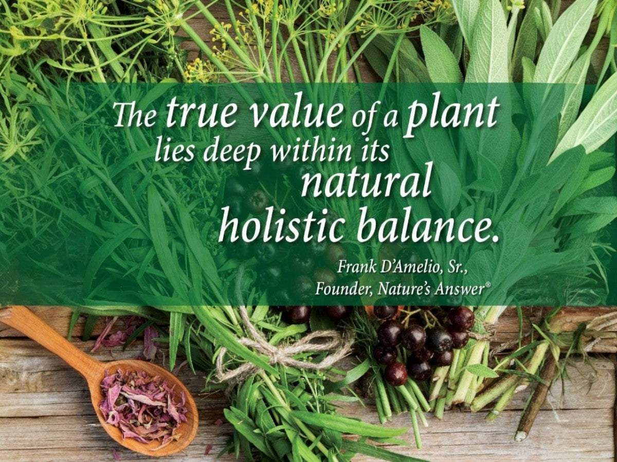 Nature's Answer Liver Support Herbal Blend Alcohol Free - 30ml