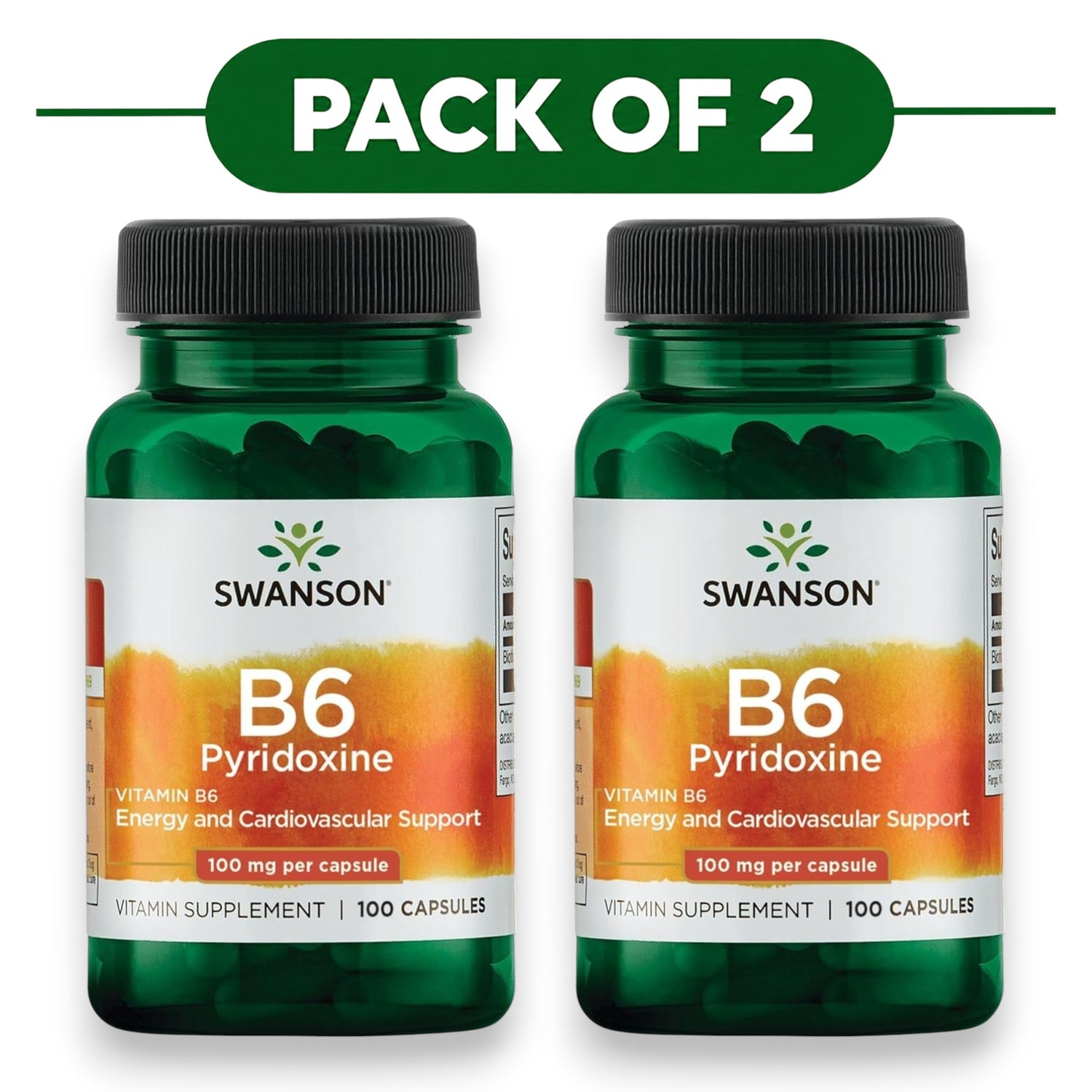Swanson Vitamin B6 Pyridoxine 100mg 100 Capsules Pack of 2