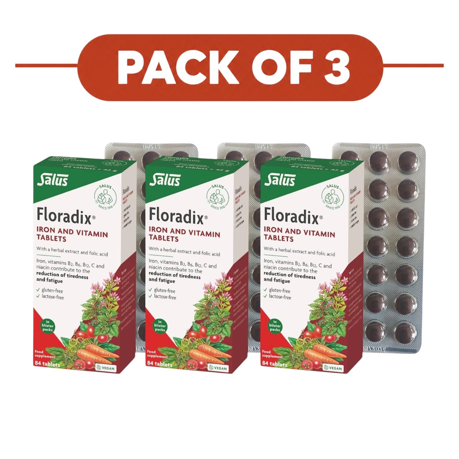 Floradix Vegan Formula drievoudige verpakking - 3 x 84 tabletten