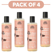 Urtekram Nordic Berry Rich Repair Shampoo 250ml Pack of 4