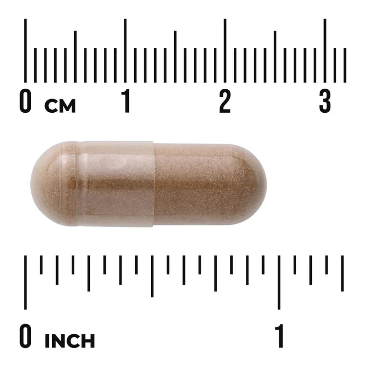 Swanson Dong Quai 100 Capsules | 530 mg | Women’s Health Support