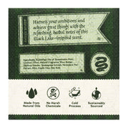Dr. Squatch x Harry Potter Slytherin Suds of the Sly Bar Soap in green-themed packaging.