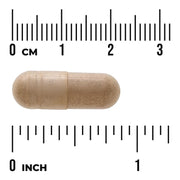 Swanson Full Spectrum Catuaba Bark 465mg 120 Vegan Capsules size comparison with measurement scale