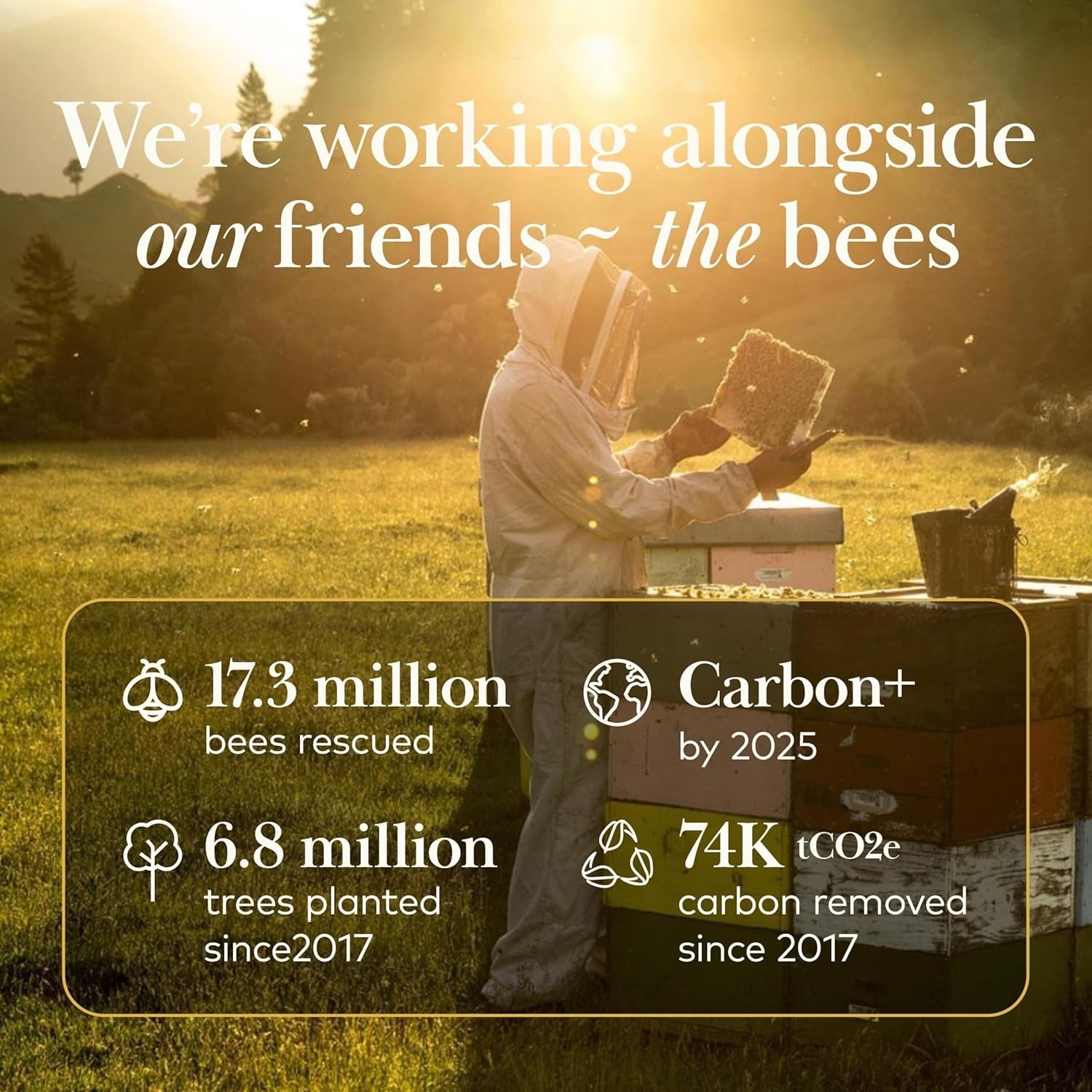 Comvita Manuka Honey MGO 83+ (UMF 5+) – 250g