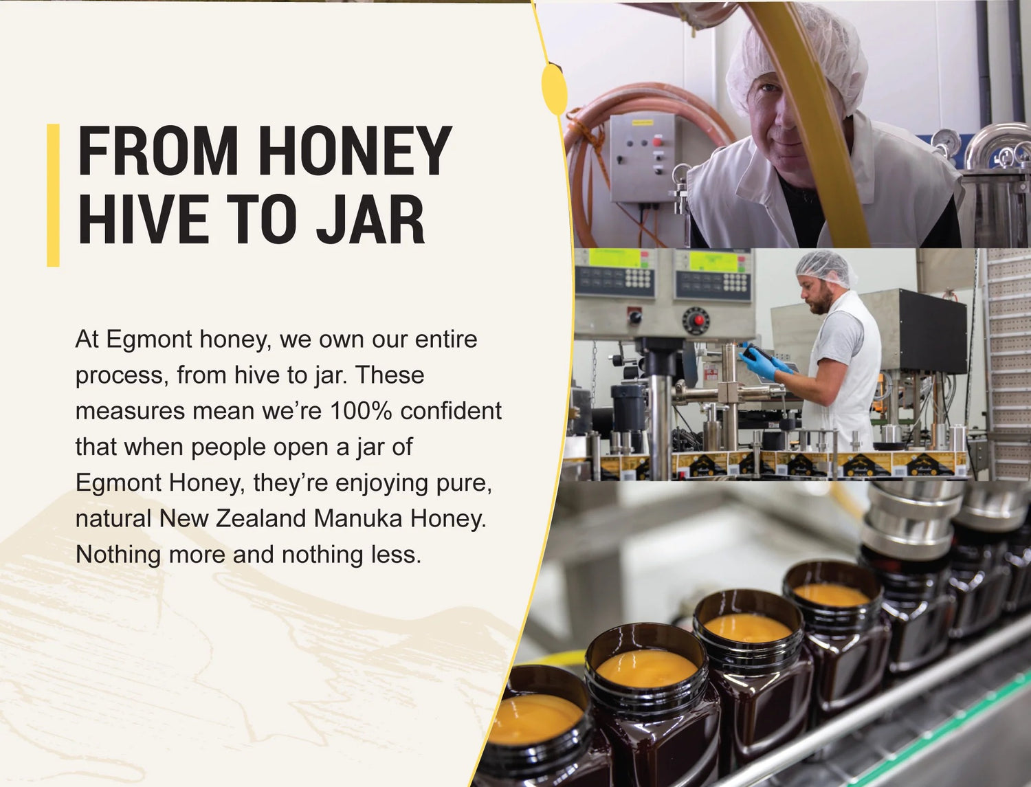 Egmont New Zealand Manuka Honey UMF 12+ from honey to jar