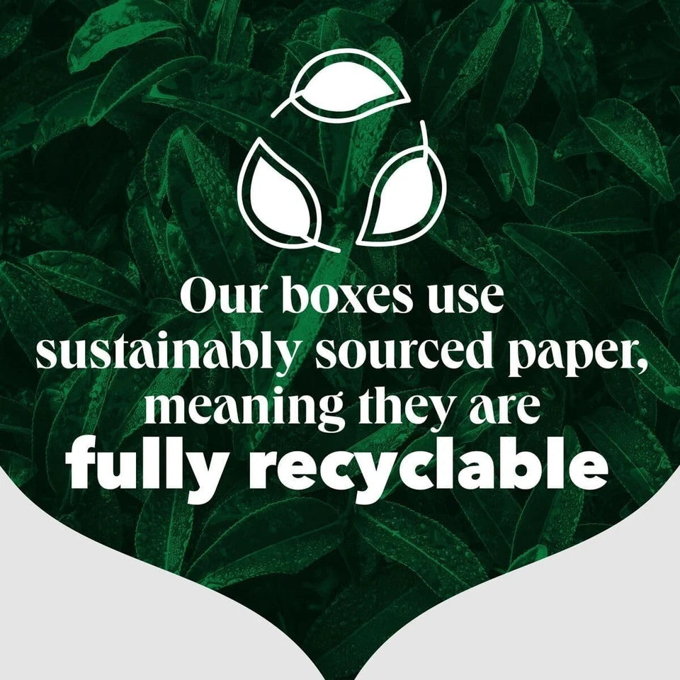 PG Tips Original Black Tea Bags 210 Count fully recyclable